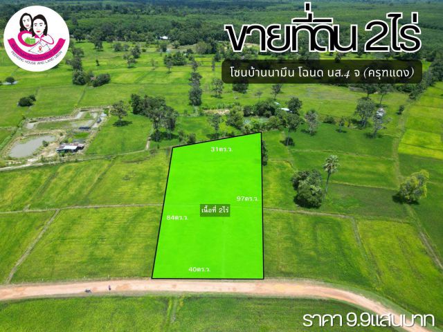 ขายที่ดิน บ้านนามึน (โฉนดครุฑแดง)