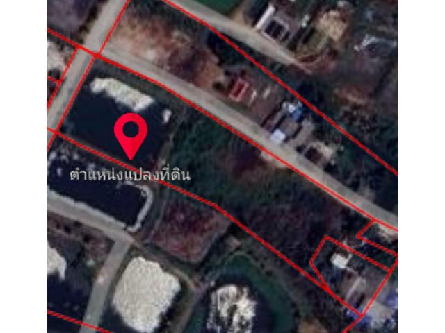 ขายที่ดิ200ปี จำนวน6ไร่