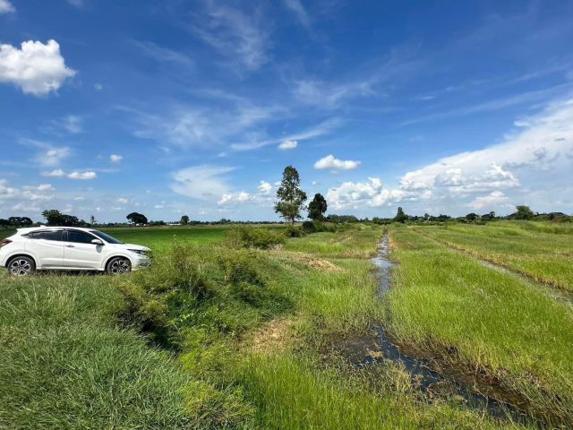 ขายด่วน!!!ที่ดินทำการเกษตร9ไร่248ตรว. ขาย1.9ล้าน ถูกมากกก  เจ้าของร้อนเงิน