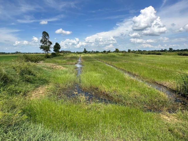 ขายด่วน!!!ที่ดินทำการเกษตร9ไร่248ตรว. ขาย1.9ล้าน ถูกมากกก  เจ้าของร้อนเงิน