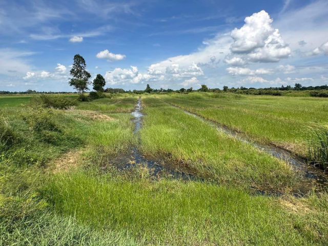 ขายด่วน!!!ที่ดินทำการเกษตร9ไร่248ตรว. ขาย1.9ล้าน ถูกมากกก  เจ้าของร้อนเงิน