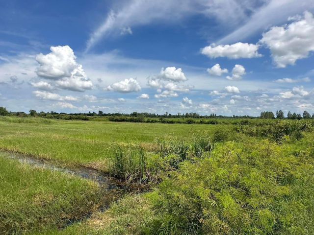 ขายด่วน!!!ที่ดินทำการเกษตร9ไร่248ตรว. ขาย1.9ล้าน ถูกมากกก  เจ้าของร้อนเงิน