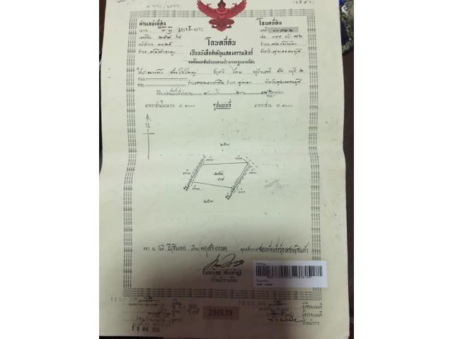 ขายด่วน!!!ที่ดินทำการเกษตร9ไร่248ตรว. ขาย1.9ล้าน ถูกมากกก  เจ้าของร้อนเงิน