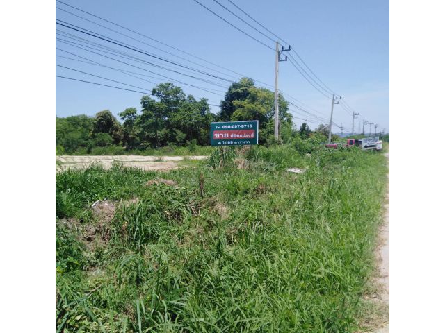 ขายที่ดินเขาใหญ่ ติดถนน 4 เลน เขาใหญ่ปากช่อง  คุณโอ๋ 098-097-8715