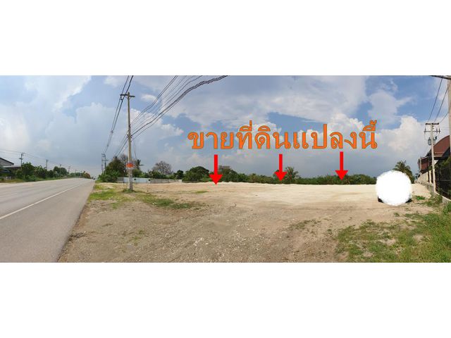 ขายที่ดินเขาใหญ่ ที่ดินติดถนนนิคมลำตะคลอง-หนองสาหร่าย