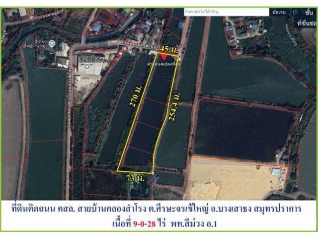 ขายที่ดินผังสีม่วง ถนนวัดบัวโรย แค่ 4 กม.  บางนาตราด กม 21 ขาออก บางเสาธง สมุทรปราการ เหมาะสร้างโกดัง โรงงาน คลังสินค้า