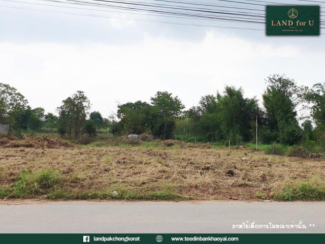 ถูกสุดในย่านนี้ #ขายที่ดินติดถนนลาดบัวขาว #ตรงข้ามที่ทำการผู้ใหญ่บ้าน ลาดบัวขาว #จากถนนมิตรภาพ เพียง 3.4 กม.