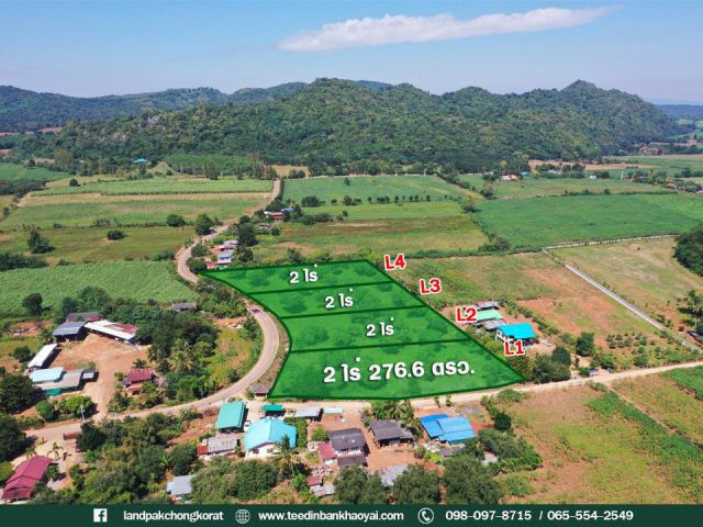 ขายที่ดินแบ่งแปลงขายเขาใหญ่ #พร้อมสวนมะม่วงติดถนน #ถูกที่สุดในย่านนี้ #วิวเขาล้อมรอบ