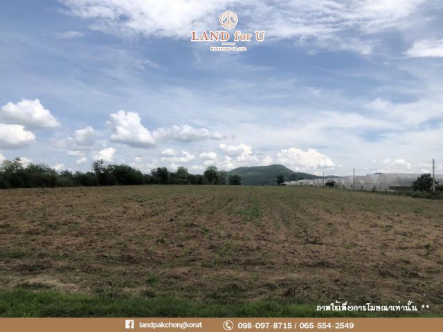ขายที่ดินติดถนน #ทำเลดี #เห็นวิวเขา #ใกล้ถนนหนองสาหร่าย