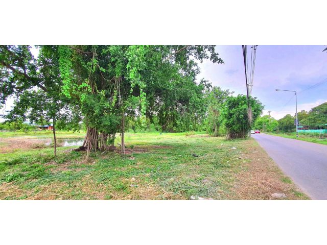 ขายที่ดิน 3 ไร่ 3 งาน คลองสี่ ติดถนนเลียบคลองสี่ ต.ลาดสวาย อ.ลำลูกกา จ.ปทุมธานี