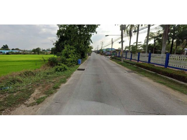 ขายที่ดิน 46 ไร่ ใกล้ท่าเรือแหลมฉบัง ผังสีม่วง ต.บางละมุง อ.บางละมุง จ.ชลบุรี