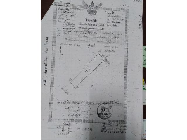 ราคาดีมาก!!! ขายที่ดินพร้อมบ้าน ตรงหลักฮวงจุ้ยที่ดี เพราะพื้นที่เป็นรูปถุงทอง (อ.เมือง จ.ยโสธร)