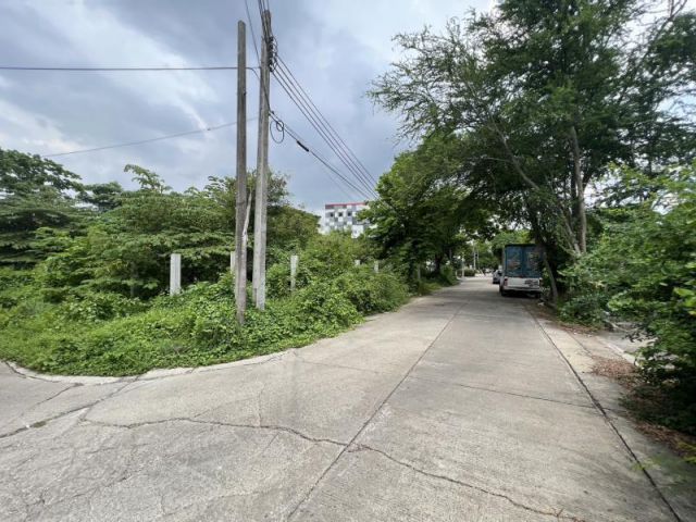 ขาย ที่ ดิน ม.เมืองทองการ์เด้นท์ พัฒนาการ 65 ที่สวยใกล้สนามบิน  ซีคอน ถูกสุดในโครงการ