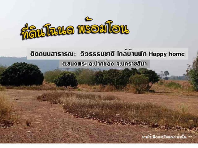 ขายที่ดินเขาใหญ่ ที่ดินวิวภูเขาล้อมรอบ ที่ดินติดถนน  เขาใหญ่ปากช่อง เหมาะกับการลงทุน