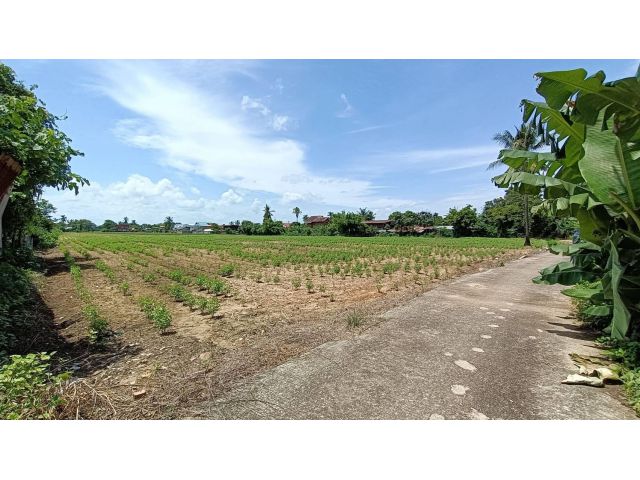 ขายที่ดินติดถนน1201 ตำบลเมืองสวรรคโลก อำเภอสวรรคโลก จังหวัด สุโขทัย 13 ไร่ 28 ตรว.