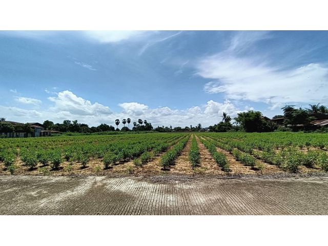 ขายที่ดินติดถนน1201 ตำบลเมืองสวรรคโลก อำเภอสวรรคโลก จังหวัด สุโขทัย 13 ไร่ 28 ตรว.