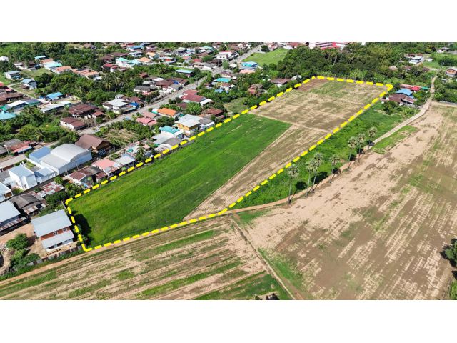 ขายที่ดินติดถนน1201 ตำบลเมืองสวรรคโลก อำเภอสวรรคโลก จังหวัด สุโขทัย 13 ไร่ 28 ตรว.