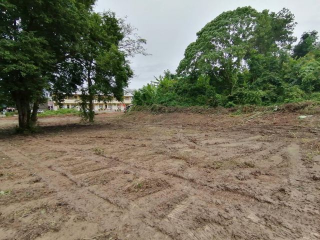 Land for sale in Chalong