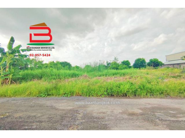 ที่ดินถมแล้ว ติดถนนไทยรามัญ-หทัยราษฎร์ เนื้อที่ 200 ตรว. ถนนไทยรามัญ เขตคลองสามวา