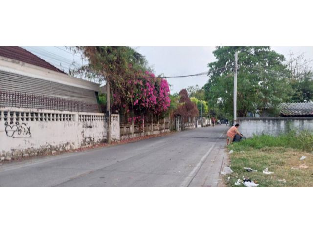 ขาย ที่ดิน ที่แนวรถไฟฟ้าสายสีชมพู นนทนคร 180 ตรว น้ำไม่ท่วม ใกล้รถไฟฟ้า