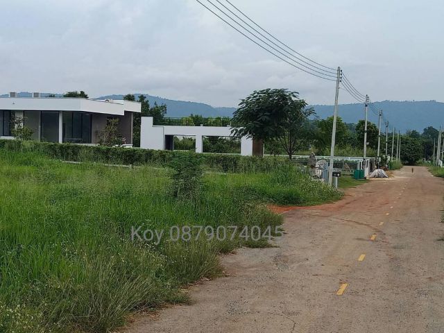 ขายที่ดินเขาใหญ่ หมูสี ปากช่อง 1 ไร่ 3 งาน บ้านท่าช้าง น้ำผุด ใกล้ถนนธนะรัชต์ วิวเขาใหญ่สวย ทำเลดี มีเพื่อนรายรอบ ไม่เปล