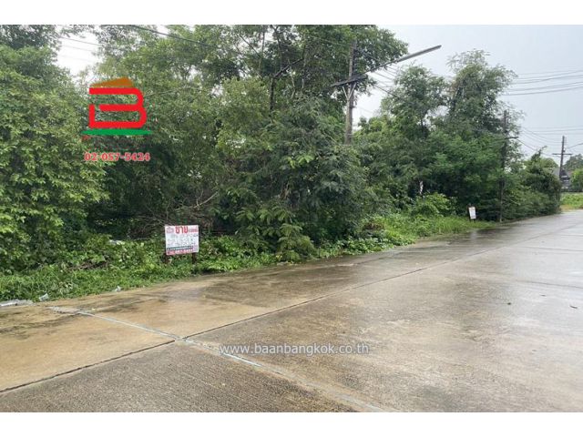 ที่ดินเปล่า เอกบูรพา 8 แยก 1 (เมืองเอก) เนื้อที่ 300 ตรว. ใกล้ม.รังสิต ตำบลหลักหก อำเภอเมืองปทุมธานี จังหวัดปทุมธานี