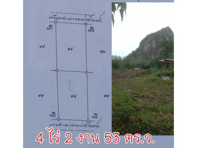 ขายถูก ที่ดิน 4 ไร่ 2 งาน 53 ตร.ว.