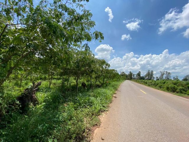 ขายที่ดินกรอกสมบูรณ์ 118 ไร่ ใกล้ถนนเส้น 3379 - 2.3 กม. ศรีมหาโพธิ์ ปราจีนบุรี