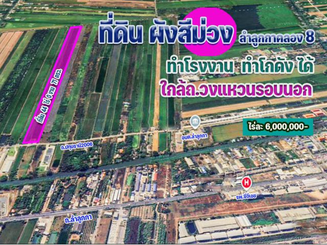 ขายที่ดิน 41 ไร่ ผังสีม่วง ลำลูกกาคลอง 8 ทำโรงงาน สร้างโกดังได้