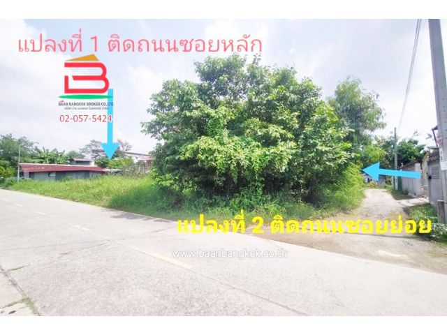 ที่ดินเปล่า ซ.สองพี่น้อง(คลองถนน) ใกล้สถานีรถไฟฟ้าคลองบางไผ่ เนื้อที่ 141 ตรว. ถ.กาญจนาภิเษก อ.บางใหญ่ จ.นนทบุรี