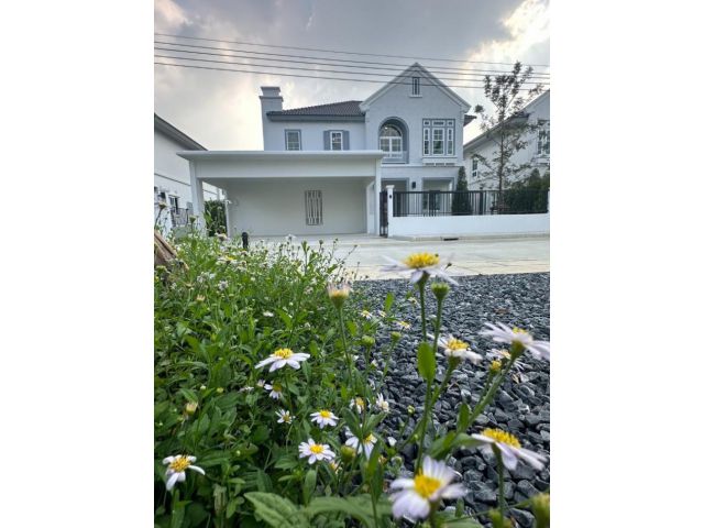 ให้เช่า บ้านเดี่ยว M521 วิลลาจจิโอ ศรีนครินทร์-บางนา 227 ตรม 75 ตรว