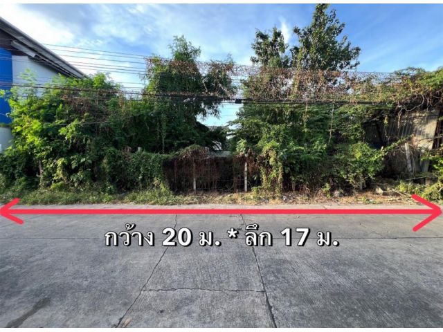 ขาย ที่ดิน ท่าข้าม 16 พระราม2 84.7 ตรว แปลงสวย ถมแล้ว ห่างเส้นพระราม 2 เพียง 1.5 โล ใกล้ตลาด