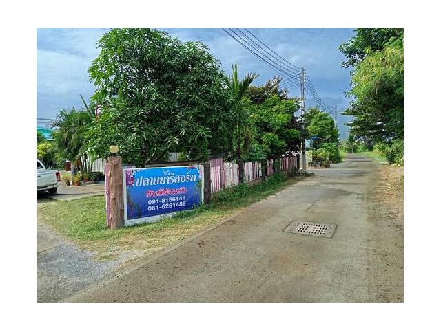 ขายรีสอร์ท 2 ไร่ ถนนพลายงาม อ.ปราณบุรี จ.ประจวบคีรีขันธ์