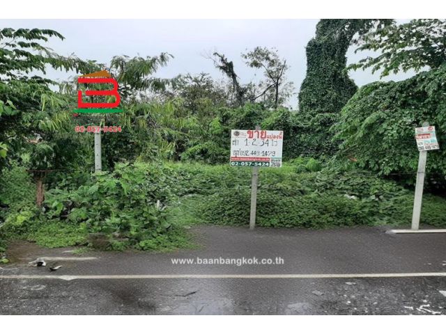 ให้เช่า ที่ดินเปล่า ธัญบุรี คลอง 7 (ซอยคลองหก) เนื้อที่ 1-2-34 ไร่ ใกล้วัดนาบุญ ถนนรังสิต-นครนายก ตำบลรังสิต อำเภอธัญบุรี จังหวัดปทุมธานี