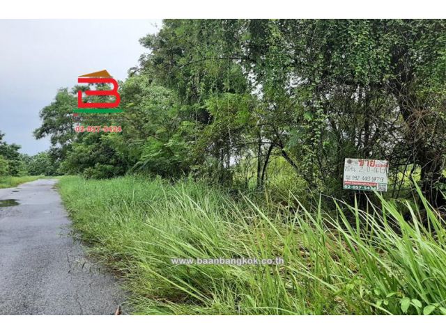 ขาย/เช่า ที่ดินเปล่า สนามกอล์ฟลำลูกกาคันทรี่คลับ เนื้อที่ 2-0-6 ไร่ ใกล้วัดอดิศร ลำลูกกาคลอง 11 ถนนรังสิต-นครนายก อำเภอลำลูกกา จังหวัดปทุมธานี