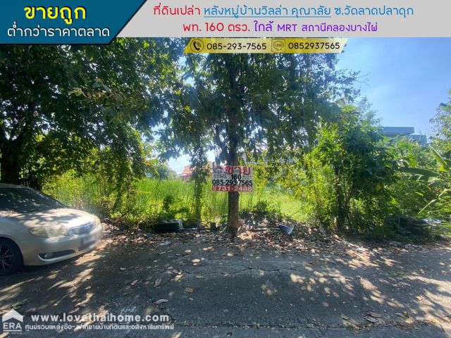 ขายที่ดิน ซอยวัดลาดปลาดุก หลังหมู่บ้านวิลล่า คุณาลัย พื้นที่ 160 ตรว ใกล้ MRTสถานีคลองบางไผ่
