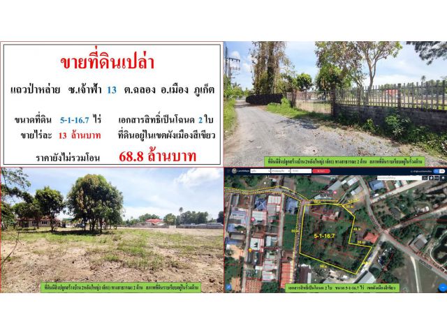 ขายที่ดินพร้อมสิ่งปลูกสร้าง ขนาด 5-1-16.7 ไร่  **แถวป่าหล่าย ซ.เจ้าฟ้า 13**  เมืองภูเก็ต (ไร่13ลบ.)
