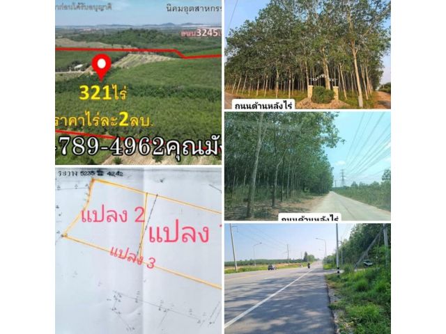 ที่ดิน321ไร่ 1 งาน 96ตรว. โฉนดครุฑแดง  (พื้นที่สีเหลืองลาย) ต.ตาสิทธิ์ อ.ปลวกแดง จ.ระยอง   ไร่ละ 2ล้าน  ที่ดินสวยทำเลดีม