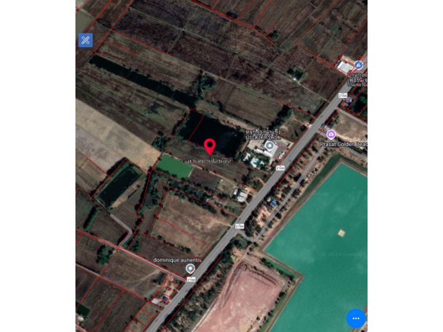 ขายที่ดิน พื้นที่ 348 ตร.ว. มี 4โฉนด อยู่เขตทุ่งกระเต็น อ.หนองกี่ จ.บุรีรัมย์