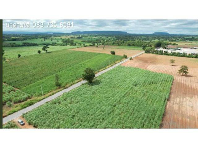 $ลดราคาขายด่วน​$เหลือไร่ละสามแสน{จากไร่350, 000}​#หน้ากว้างติดถนนดำ#ต่อรองได้#สนใจติดต่อด่วน.​089-8147024​