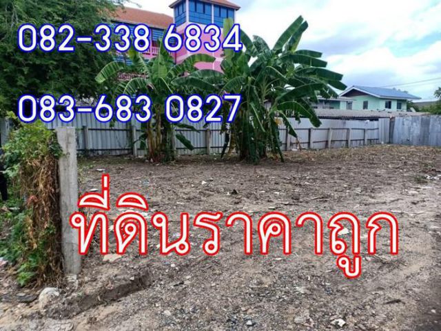 ขาย/เช่า ที่ดิน 100 ตารางวา ลำลูกกาคลอง 4 ฝั่งตะวันตก ซอยไสวประชาราษฎร์ 31