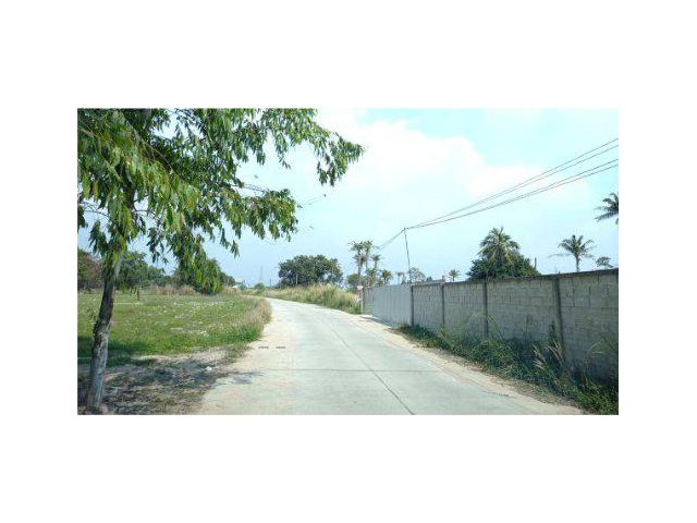 ขายที่ดิน 36 ไร่ ต.บึง อ.ศรีราชา จ.ชลบุรี