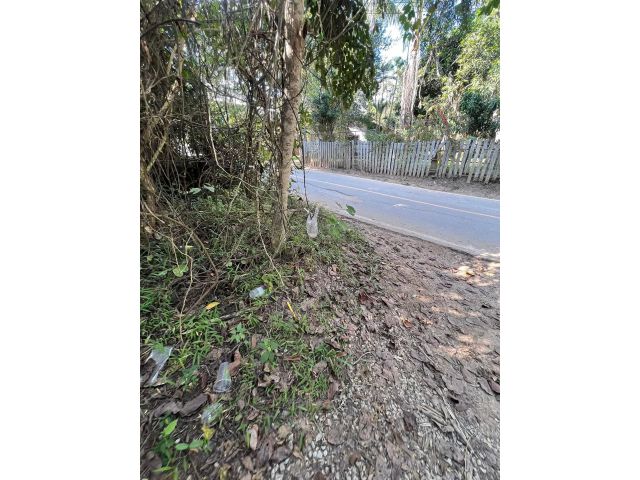 ขายที่ดินบ้านแม่แรมแม่ริมติดถนนโฉนดพร้อมโอน