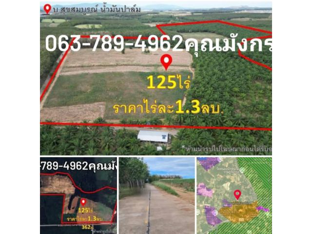 ที่ดิน125ไร่2งาน18ตรว. ราคาไร่ละ1.3ลบ. ที่ดินผังสีเหลือง หน้ากว้างติดถนนคอนกรีต362ม. ด้านข้างลึก528ม.  - พิกัด ต.หนองไหญ