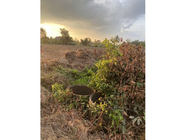 ขายที่ดินโฉนดครุฑแดง(น.ส.4 จ.) จำนวน 1 แปลง ตั้งอยู่ที่บ้านท่าพลับ ต.ควนขนุน อ.ควนขนุน จ.พัทลุง