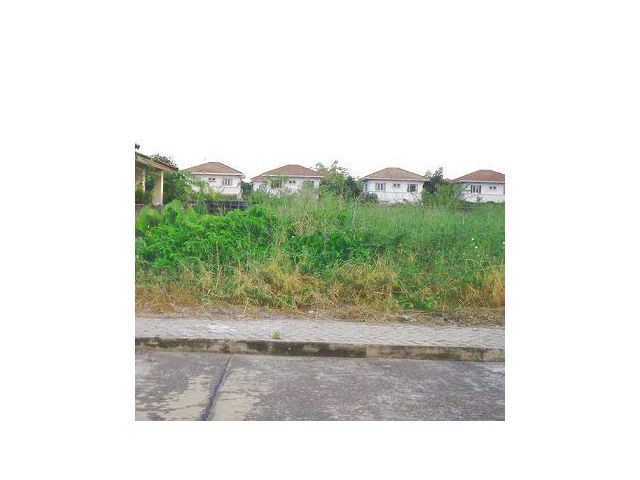 ที่ดินปลูกบ้าน 81 วา หมู่บ้านศุภาลัยเลค2 ที่ดินถนนคุ้มเกล้า ถมแล้ว ใกล้ถนนตัดใหม่เชื่อมต่อกับถนนศรีนครินทร์ ร่มเกล้า ร