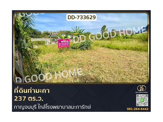 ที่ดินท่ามะกา 237 ตร.ว. กาญจนบุรี ใกล้โรงพยาบาลมะการักษ์