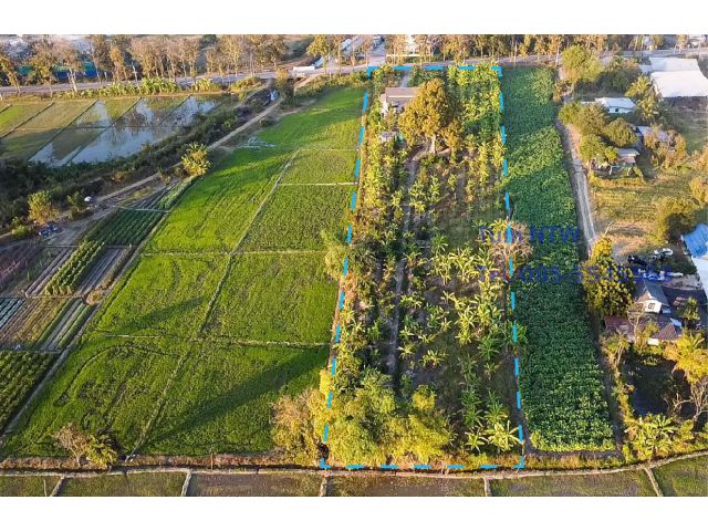 ขายที่ดิน สันกำแพง ที่ดิน 4 ไร่ พร้อมสิ่งปลูกสร้าง