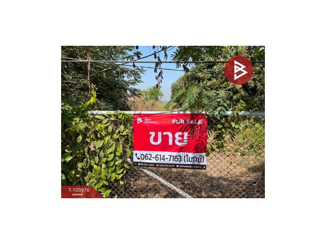 ขายที่ดินเปล่า เนื้อที่ 64 ไร่ 3 งาน 5 ตร.วา หนองแค สระบุรี