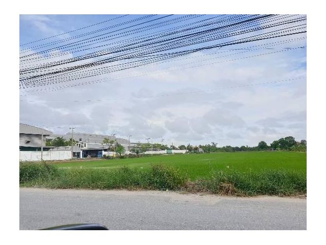 ที่ดิน 34 ไร่ บางนา กม.23 วัดบัวโรย (สีม่วง)